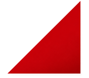 Allied Group logo